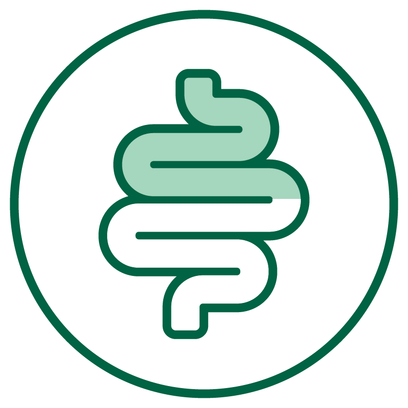 Detox & Digestive Supplements