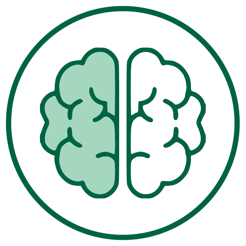 Memory & Learning Supplements