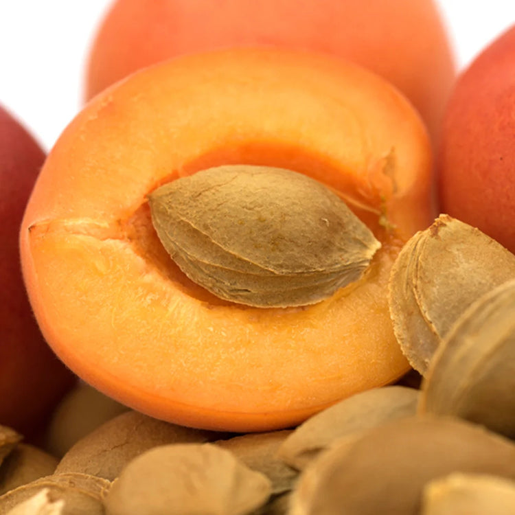 Garden of Wellness Singapore