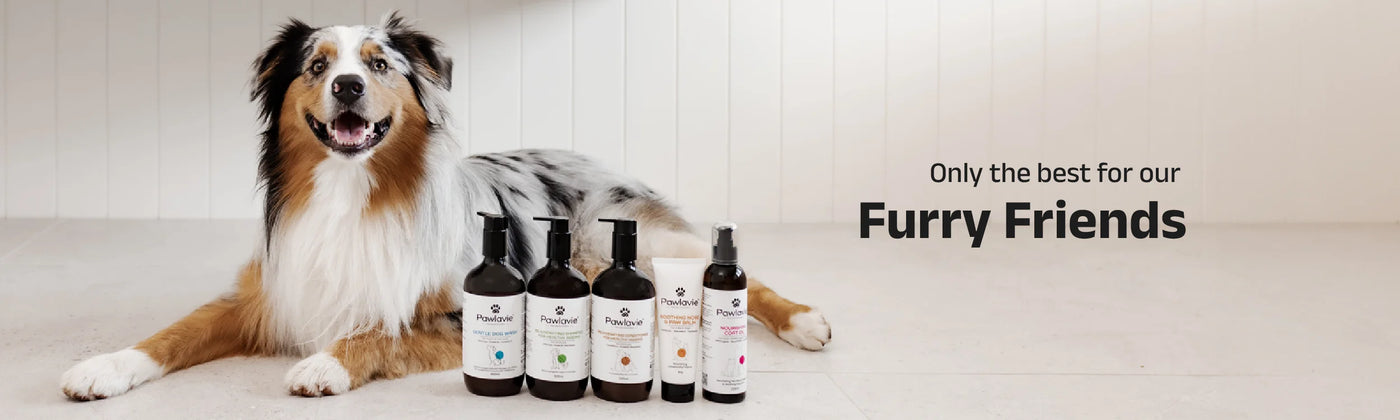 Garden of Wellness Singapore