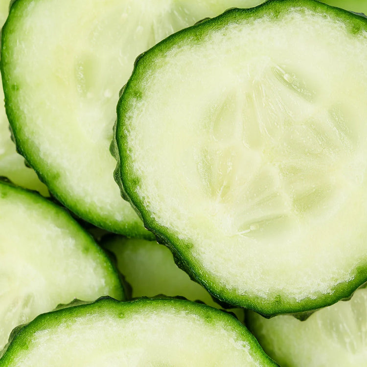 Garden of Wellness Singapore