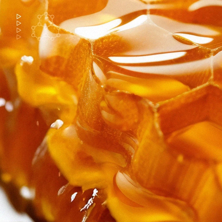 Garden of Wellness Singapore