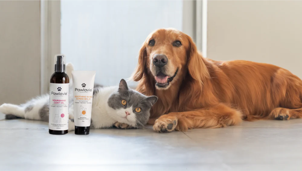 Garden of Wellness Singapore