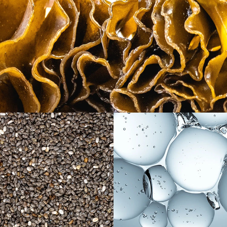 Garden of Wellness Singapore