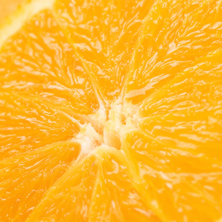 Garden of Wellness Singapore