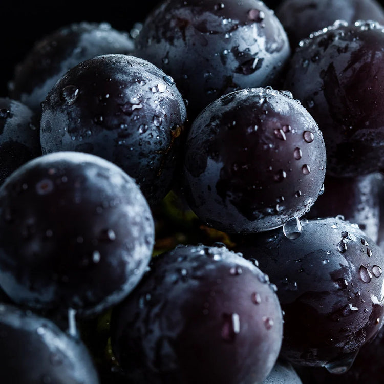 Garden of Wellness Singapore